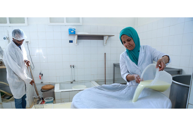 Making cheese in Tunisia
