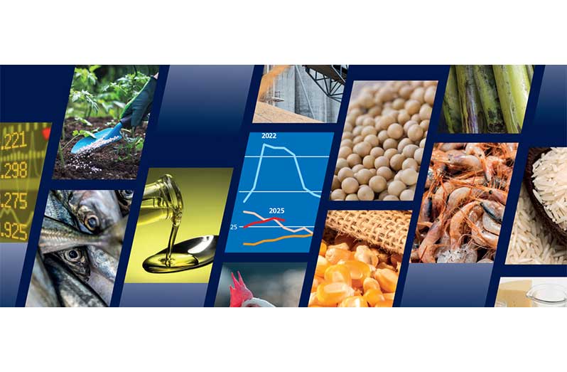 Global output of key food commodity crops on course for new records–FAO Food Outlook highlights