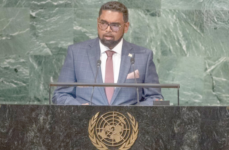 President, Dr. Irfaan Ali