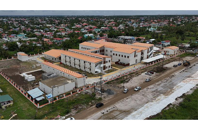 An aerial view of the Enmore Regional Hospital