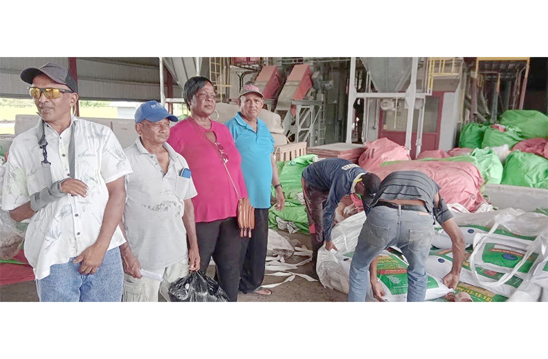 Cash-crop farmers receiving their fertiliser at Vilvorden