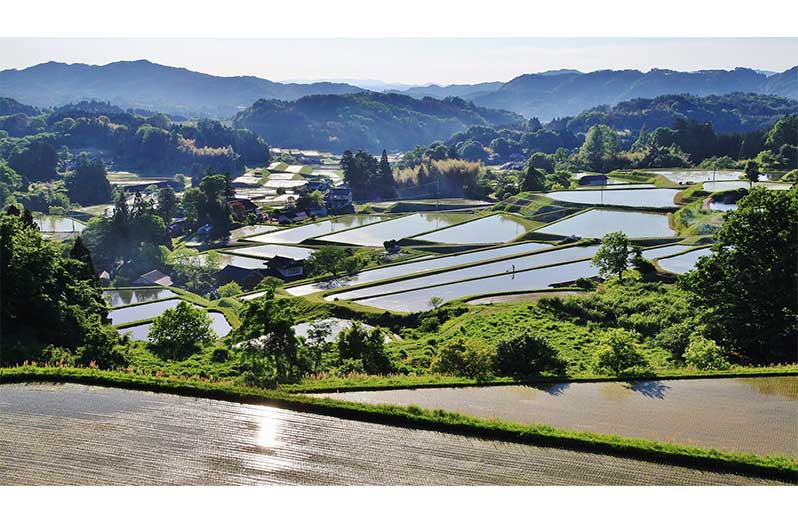 ©Photo courtesy of GIAHS Sustainable Water Management and Agricultural, Forestry, and Livestock System of the Okuizumo Area, Japan