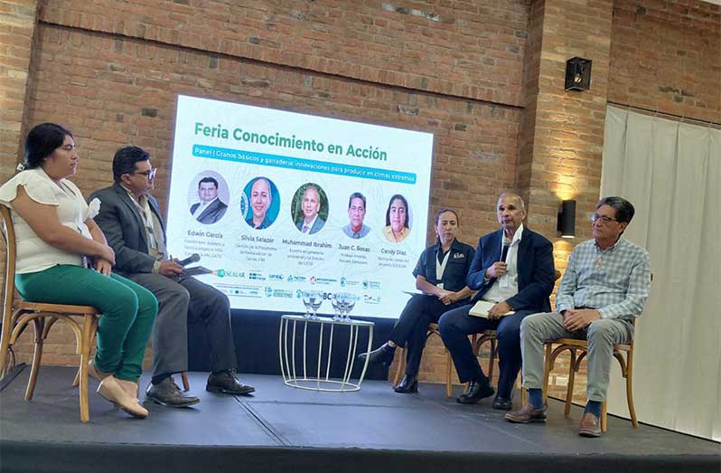 Muhammad Ibrahim, the official Caribbean Community (CARICOM) nominee and Guyana's candidate for the position of Director General of the Inter-American Institute for Cooperation on Agriculture (IICA), has emphasised the significance of raising money to improve food security and resilience in the Dry Corridor of Central America