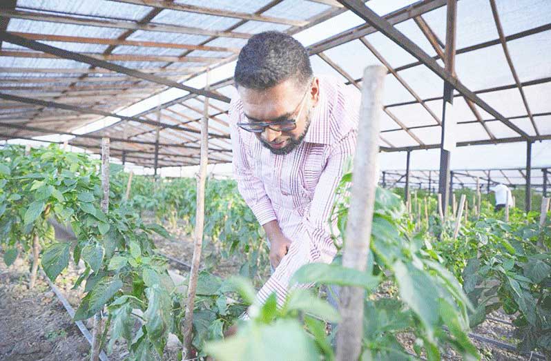 agri