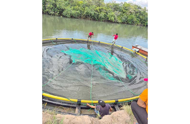 A fish cage being assembled and installed