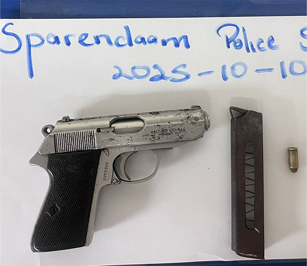 Police recover .32 pistol during Ogle-New Highway search