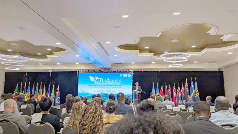 IICA has supported Argentina’s co-operation in the Caribbean through numerous projects. In the photo is Manuel Otero, Director General of the Institute.