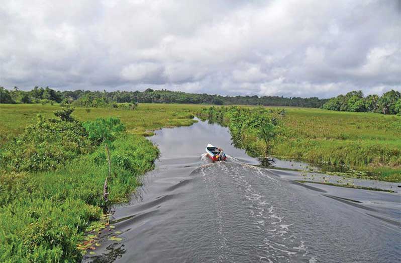 The impact of microplastics is on the large-scale, and can affect humans and marine life years after they’ve been discarded