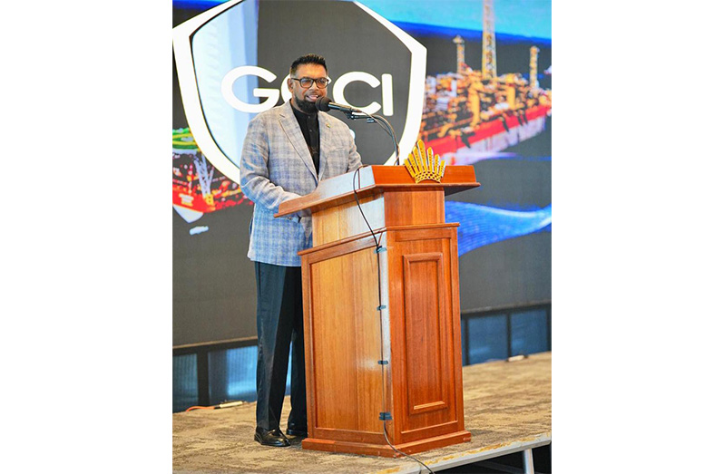 ‘Guyana not chasing short-term gains’