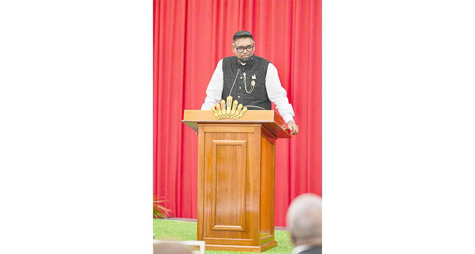 President, Dr Irfaan Ali