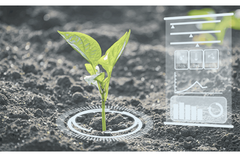 AI-driven production systems, mega-scale farms for Guyana