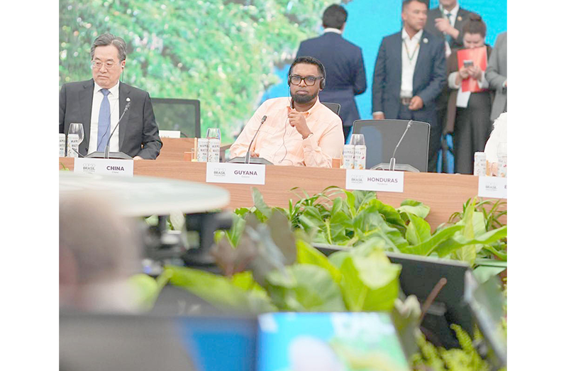 Dr. Irfaan Ali during one of several discussions he’s had at the ongoing climate summit being held in Belém, Brazil (Office of the President photo)