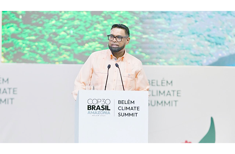 President, Dr Irfaan Ali