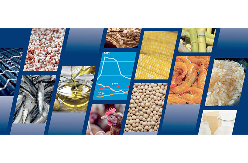 FAO Food Outlook points to broad-based increase in global food commodity production