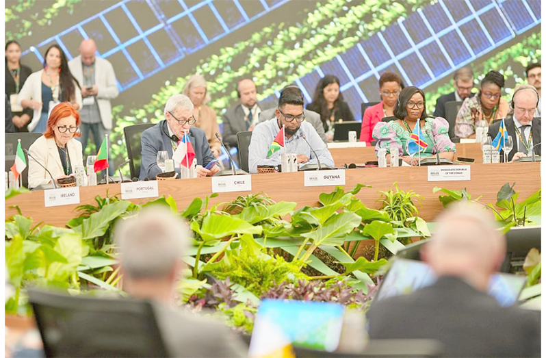 Balanced, fair energy transition must not protect the wealthy – Guyana Chronicle