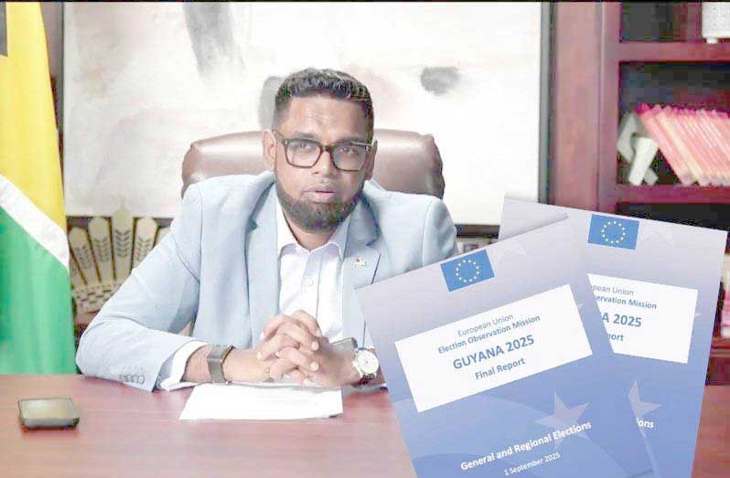 EU-EOM report lacks substantive analysis