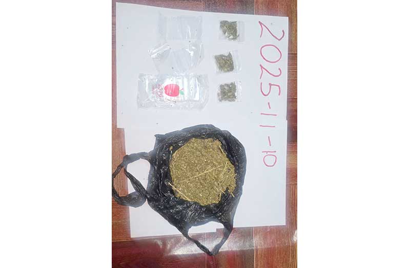 The suspected cannabis seized during the operation