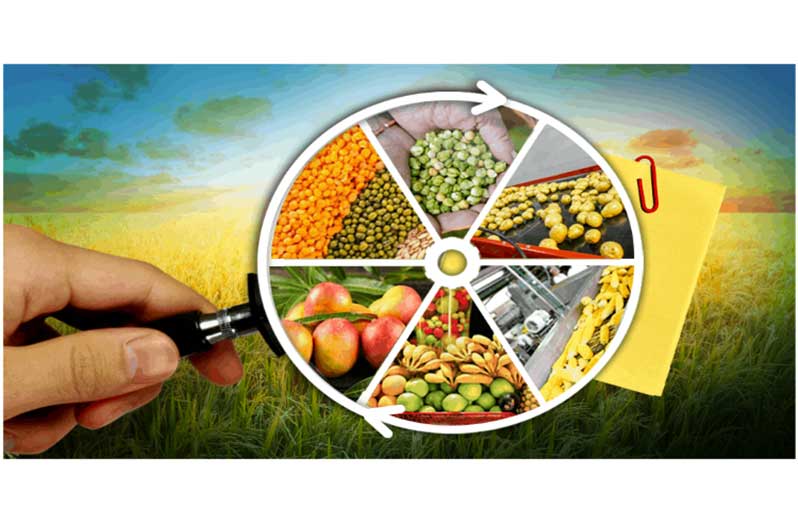 Two containers of Guyana’s agro-processed goods head to Caribbean markets –President Ali