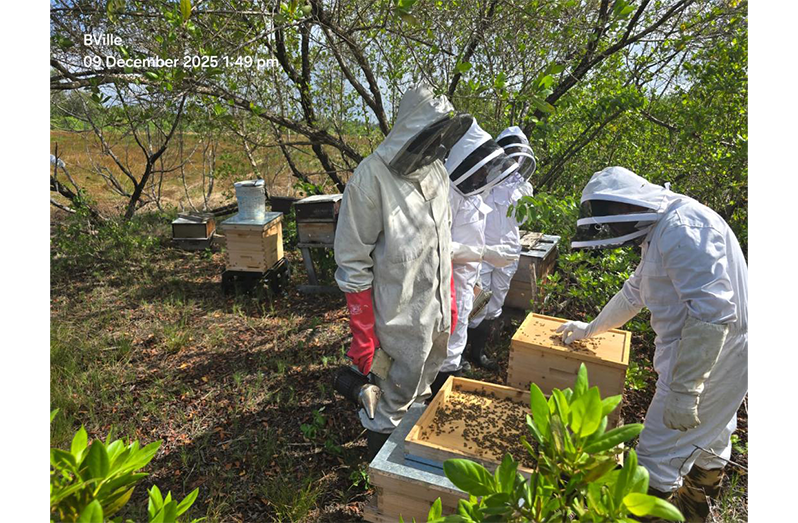 Guyana’s Apiculture Sector Embraces Digital Traceability