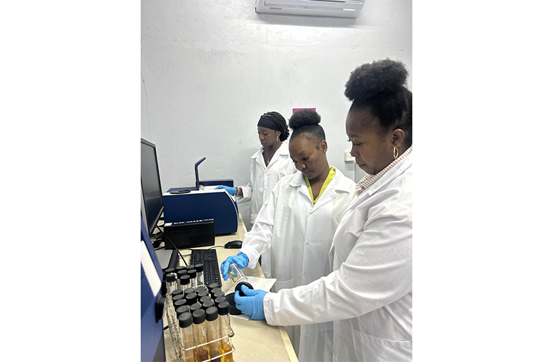 The gentle strength behind Guyana’s livestock advancement