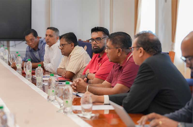 Indian experts present findings on GuySuCo to President Ali