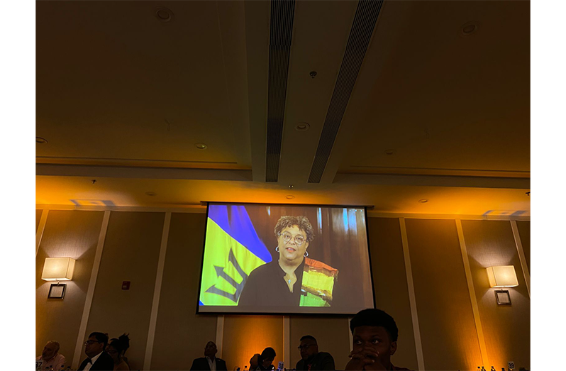 Guyana an ‘exceptional bright spark’ in a challenging global space