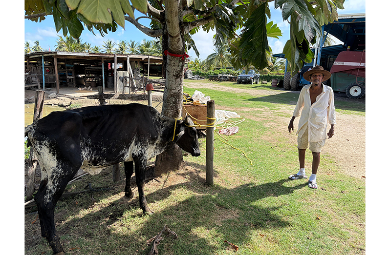 Tradition meets technology