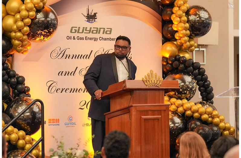 ‘Guyana’s private sector now more innovative, driven, results-focused and highly motivated’ –President Ali says