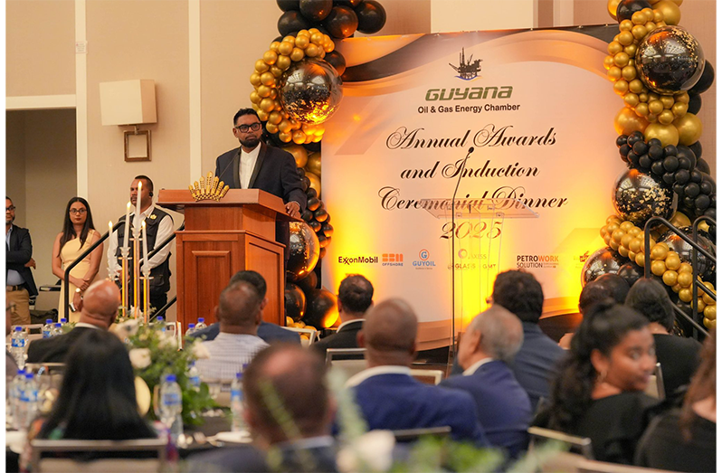 Guyana could supply vessels, other support to expanding oil and gas operations