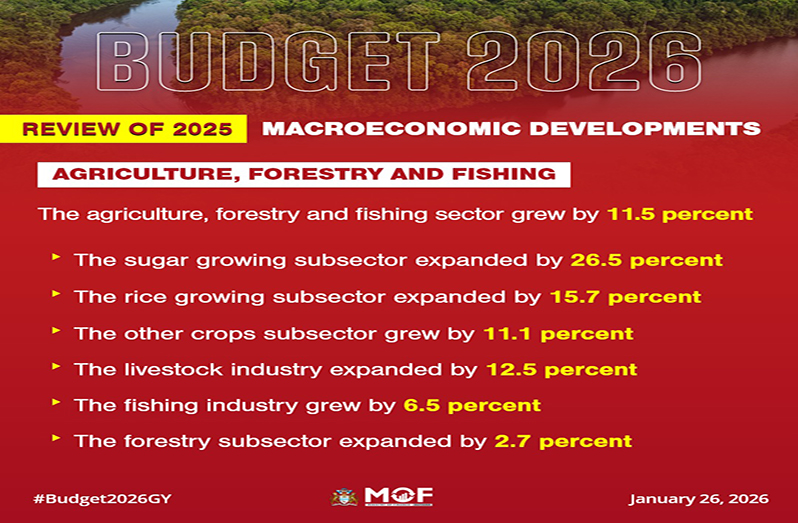 Guyana’s economy rides waves of global uncertainty