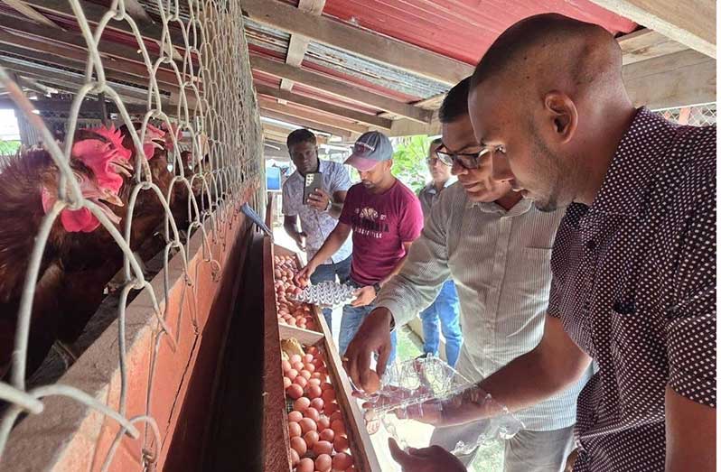 Minister Ramraj visits model egg farm in Region Two