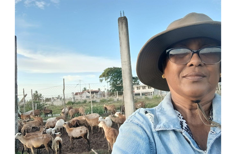 The Highs and Lows of Being a Farmer