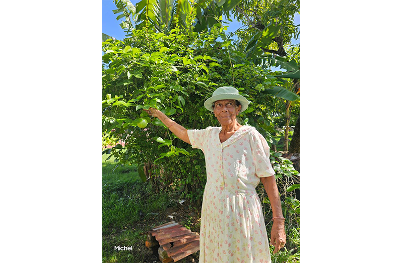 Parvati Loaknauth: Where Tradition, Faith, and Resilience Meet on Guyana’s West Coast