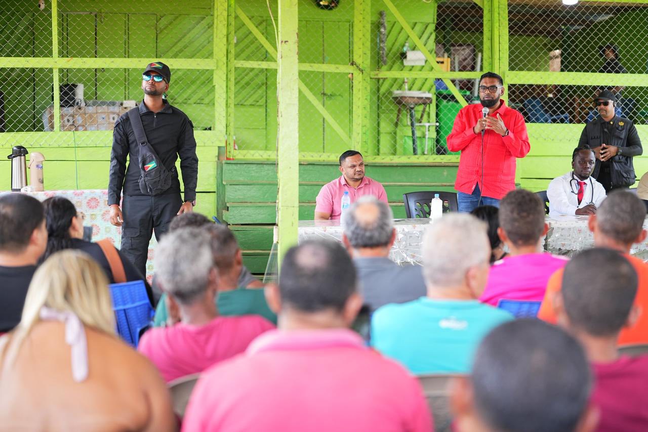 President Ali promises sweeping support package for small miners