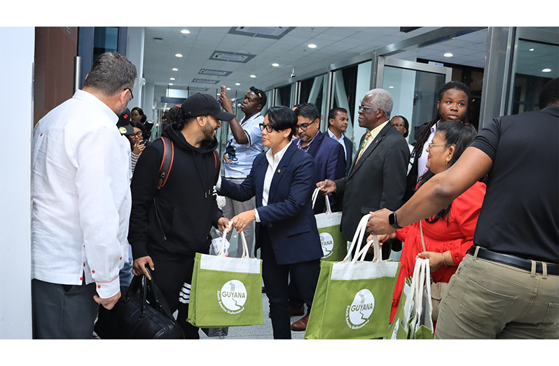 Visitor arrivals rise by 17.2 per cent in January