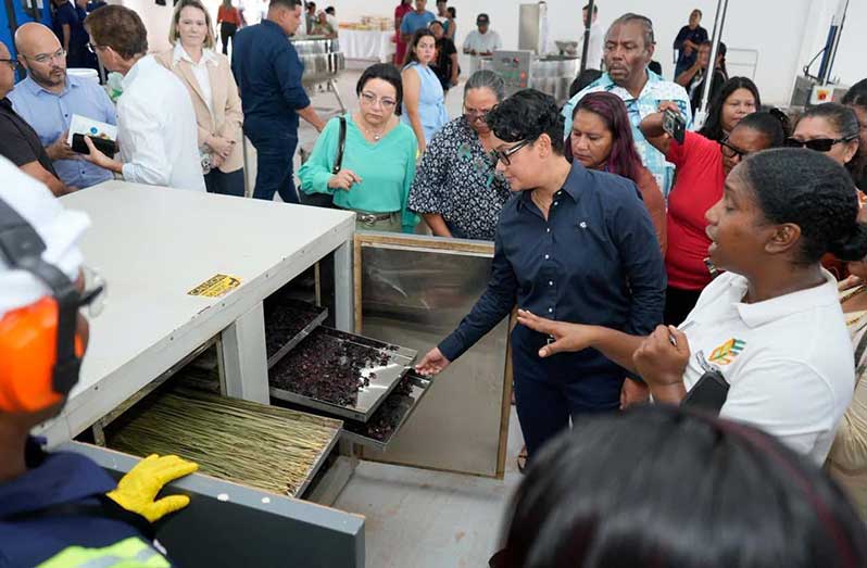 Gra Lethem $181M Lethem Business Incubator Centre and Agro-Processing Facility ...