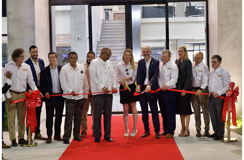 Workforce development key to engineering, industrial success - Guyana ...