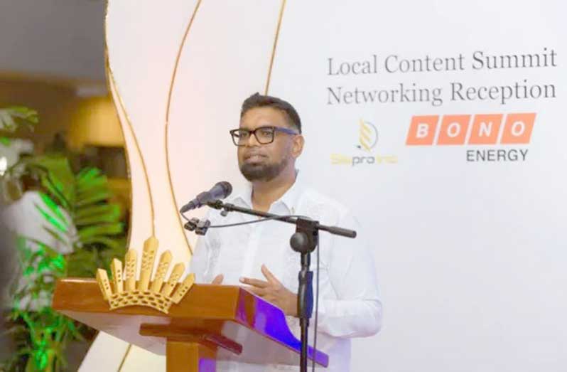 Local Inv President unveils new opportunities for local ownership, investment ...