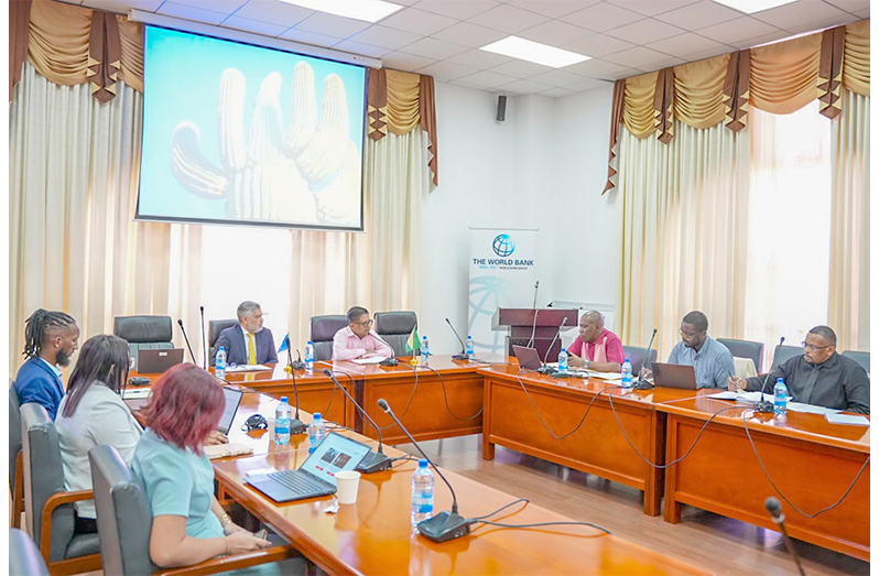 Senior Minister in the Office of the President with Responsibility for Finance, Dr Ashni Singh, on Friday, led a Government of Guyana/World Bank Group Country Performance Review at the Arthur Chung Conference Centre