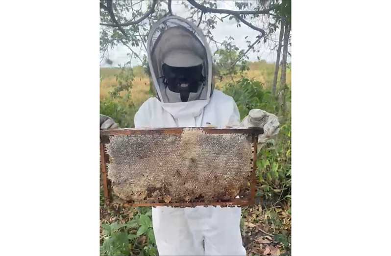 Diane Leitch-Hinds poses with honey straight from the hive, a typical day in her life as a beekeeper