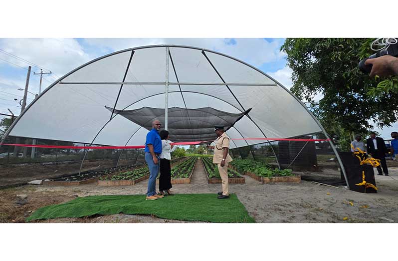 The Timehri tunnel builds on RCGC's earlier shade tunnel at the Phoenix Recovery drug rehabilitation facility in Yarrowkabra, Soesdyke. Both projects pair food production with rehabilitation and skills for life after custody