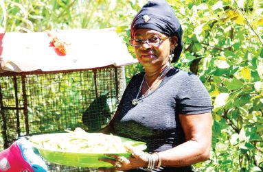 Wanita Forde (Carl Croker photos)