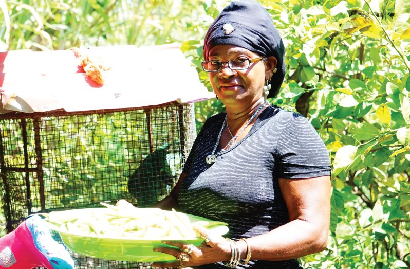 Wanita Forde (Carl Croker photos)