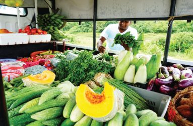 Farm produce of Kevin Mohan