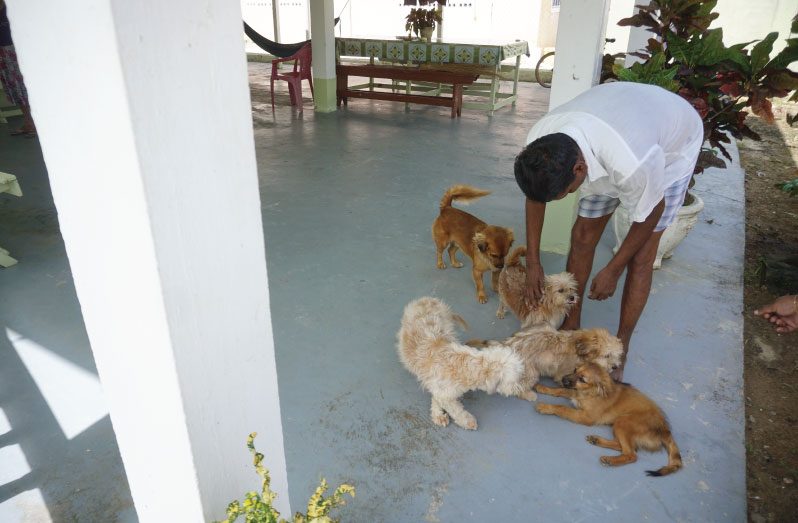 Councillor Nowrang Damarlall and his pets (Carl Croker photos)