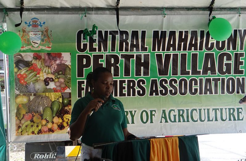 Violet Henry, member of the Central Mahaicony/Perth Village Farmers' Association in an address to members