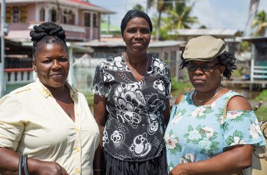 Poultry rearers (from left) Nicola Lewis, Gwenette Gilbert and Nalecia Adams