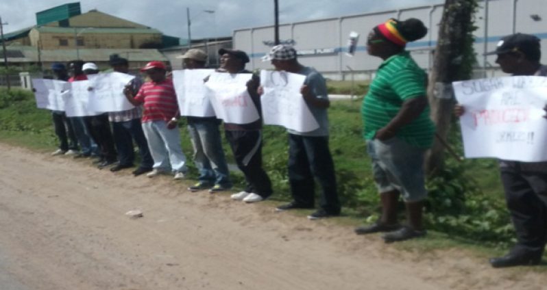 Workers picketing the Enmore Estate on Monday