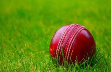 2013091322511-cricket-ball-wallpaper-free-download-hd-745x496
