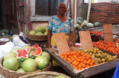 Auntie Data’ selling
agricultural produce
aback of Stabroek
Market.